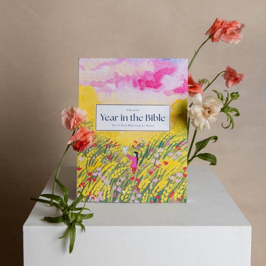 A Beautiful Year in the Bible (50% OFF)
